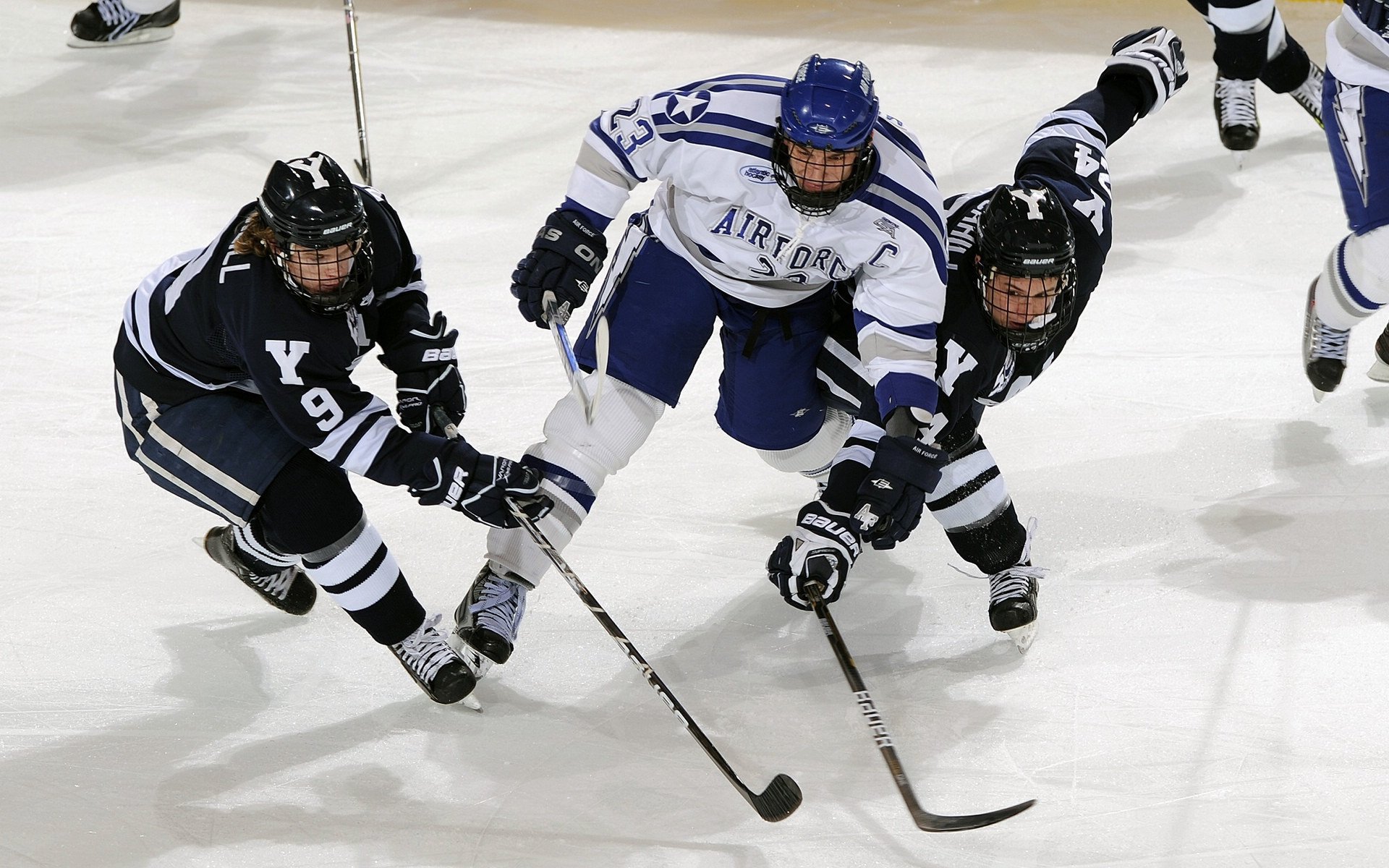 体测标准改革促使球员体能全面进步,体测标准各项所占比例