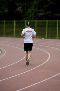 开云体育官方网站登陆-高校运动训练效果科学评估研究，运动训练高校排名